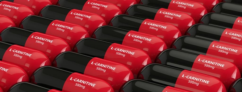 спортивное питание с l carnitine