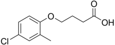 Синтез гамма-Butyrolactone.svg