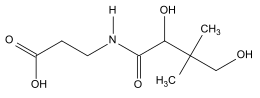 Pantothenic acid.svg