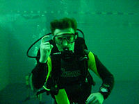 Diving signal question.jpg
