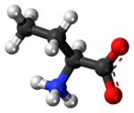 Болл и пряника модель альфа-аминобутанова молекулы кислоты в виде цвиттер-иона