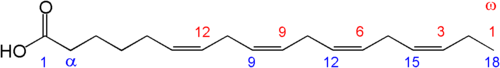 Молекула стеаридоновой кислоты. Физиологическая система нумерации атомов показана красным, а химическая — синим цветом.