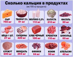 Функции кальция для организма