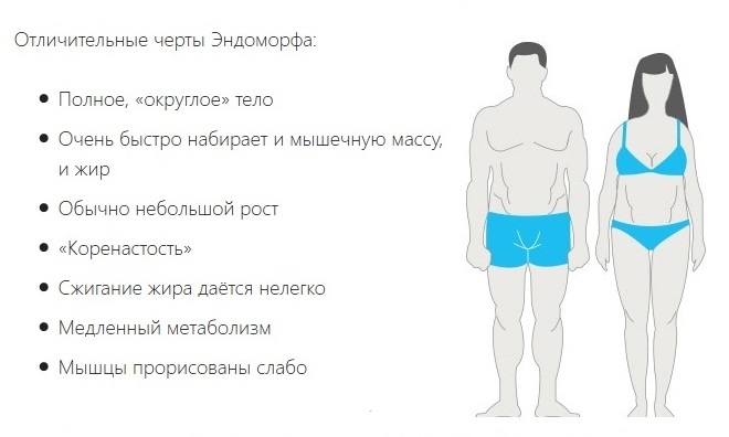 эндоморфный тип телосложения