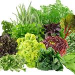 Продукты, содержащие фолиевую кислоту