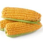 Продукты, содержащие фолиевую кислоту