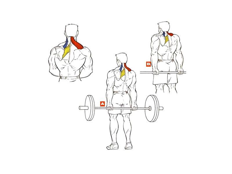 Шраги со штангой за спиной в положении стоя