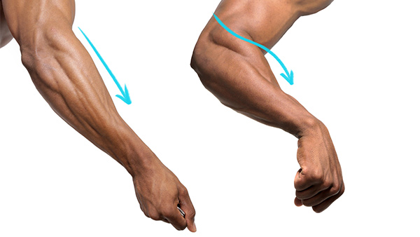 straight supination and an oblique S curve pronation