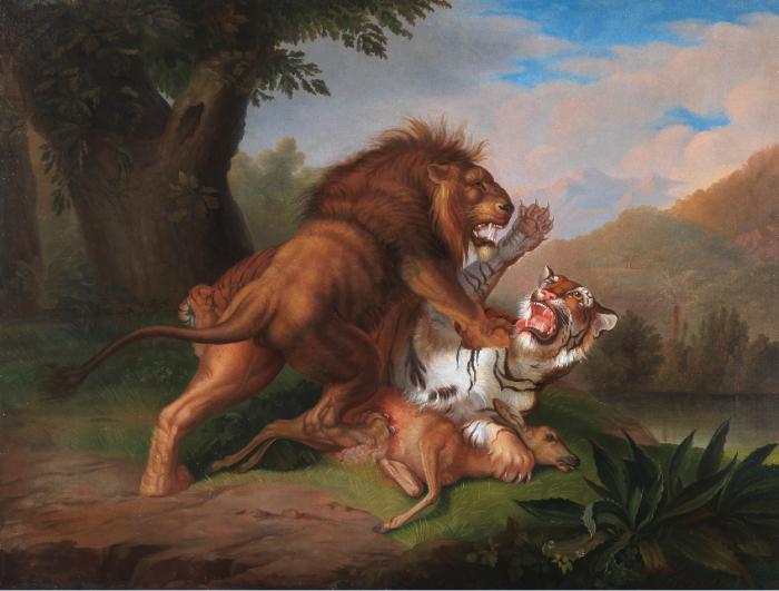 Кто лучше — лев или тигр?