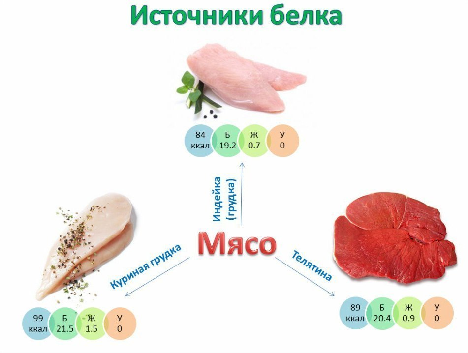ΠΡΡΠΎ ΠΊΠ°ΠΊ ΠΈΡΡΠΎΡΠ½ΠΈΠΊ Π±Π΅Π»ΠΊΠ° ΠΡΡΠΎ ΠΊΠ°ΠΊ ΠΈΡΡΠΎΡΠ½ΠΈΠΊ Π±Π΅Π»ΠΊΠ°