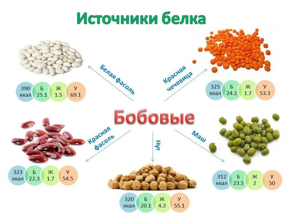 ΠΠΎΠ±ΠΎΠ²ΡΠ΅ ΠΊΠ°ΠΊ ΠΈΡΡΠΎΡΠ½ΠΈΠΊ ΡΠ°ΡΡΠΈΡΠ΅Π»ΡΠ½ΠΎΠ³ΠΎ ΠΏΡΠΎΡΠ΅ΠΈΠ½Π° ΠΠΎΠ±ΠΎΠ²ΡΠ΅ ΠΊΠ°ΠΊ ΠΈΡΡΠΎΡΠ½ΠΈΠΊ ΡΠ°ΡΡΠΈΡΠ΅Π»ΡΠ½ΠΎΠ³ΠΎ ΠΏΡΠΎΡΠ΅ΠΈΠ½Π°