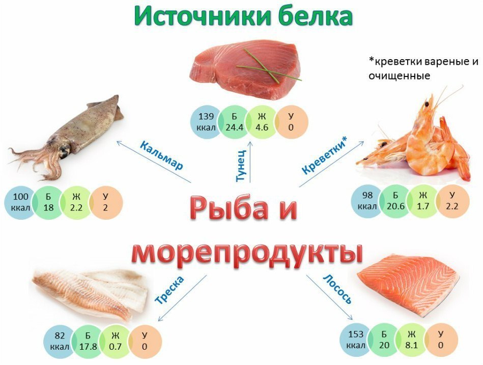 Π ΡΠ±Π° ΠΈ ΠΌΠΎΡΠ΅ΠΏΡΠΎΠ΄ΡΠΊΡΡ ΠΊΠ°ΠΊ ΠΈΡΡΠΎΡΠ½ΠΈΠΊΠΈ Π±Π΅Π»ΠΊΠΎΠ² Π ΡΠ±Π° ΠΈ ΠΌΠΎΡΠ΅ΠΏΡΠΎΠ΄ΡΠΊΡΡ ΠΊΠ°ΠΊ ΠΈΡΡΠΎΡΠ½ΠΈΠΊΠΈ Π±Π΅Π»ΠΊΠΎΠ²