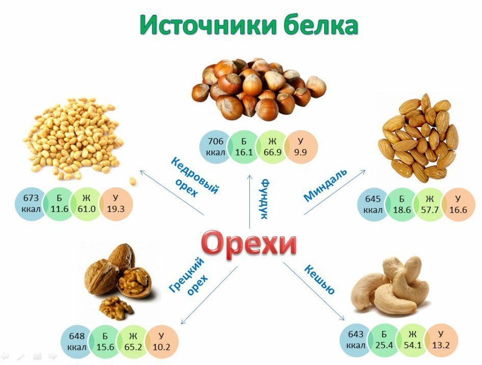 ΠΡΠ΅Ρ
ΠΈ ΠΊΠ°ΠΊ ΠΈΡΡΠΎΡΠ½ΠΈΠΊΠΈ Π±Π΅Π»ΠΊΠ° ΠΡΠ΅Ρ
ΠΈ ΠΊΠ°ΠΊ ΠΈΡΡΠΎΡΠ½ΠΈΠΊΠΈ Π±Π΅Π»ΠΊΠ°