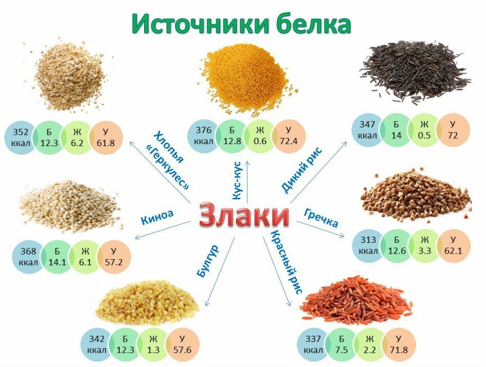 ΠΠ»Π°ΠΊΠΈ ΠΊΠ°ΠΊ ΠΈΡΡΠΎΡΠ½ΠΈΠΊΠΈ ΠΌΠ΅Π΄Π»Π΅Π½Π½ΡΡ
ΡΠ³Π»Π΅Π²ΠΎΠ΄ΠΎΠ² ΠΠ»Π°ΠΊΠΈ ΠΊΠ°ΠΊ ΠΈΡΡΠΎΡΠ½ΠΈΠΊΠΈ ΠΌΠ΅Π΄Π»Π΅Π½Π½ΡΡ
ΡΠ³Π»Π΅Π²ΠΎΠ΄ΠΎΠ²