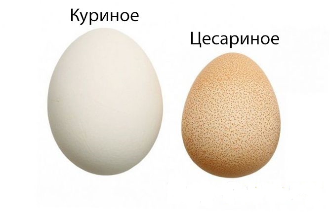 Сравнение яиц Сравнение двух яиц